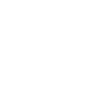 ParkwaySocial-tagline-white-transparent (1).png